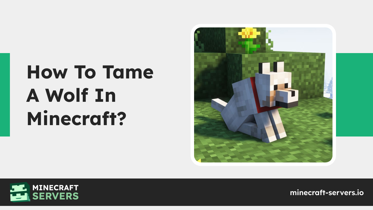 How To Tame A Wolf In Minecraft?